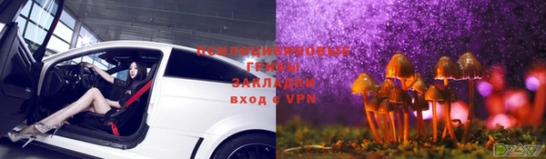 PSILOCYBIN Абаза