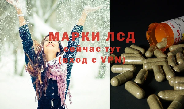 мяу мяу кристалл Аша