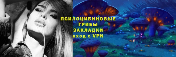 PSILOCYBIN Абаза