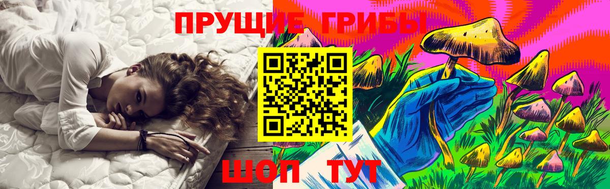 Галлюциногенные грибы прущие грибы  Вход с VPN  Зеленодольск  Галлюциногенные грибы Psilocybine cubensis 
